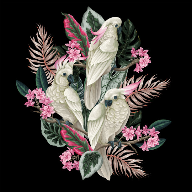 凤头鹦鹉，热带叶与花分离。向量。图片下载