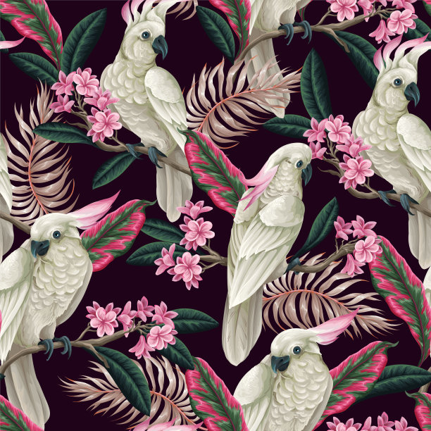 无缝图案与凤头鹦鹉，热带树叶和花朵。向量。图片下载