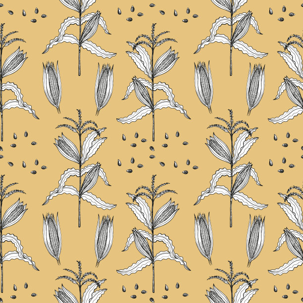 手绘玉米无缝图案背景矢量图：玉米棒、谷粒、玉米田等图片下载