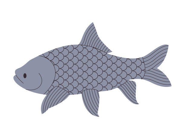 灰色巨型倒钩鱼野生自然动物淡水河流或湖泊水下游泳图片下载