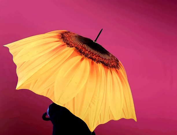 向日葵伞图片下载