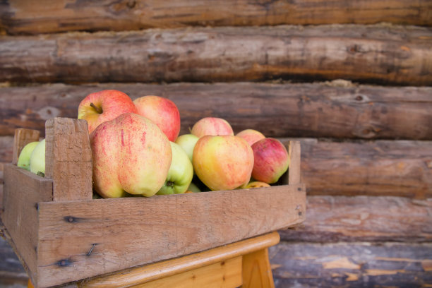 成熟的苹果图片下载