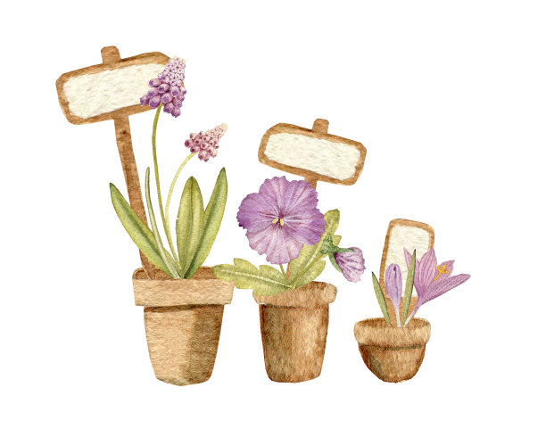 在白色的背景上，有花园花朵和标志的花盆。2024. 剪纸艺术。水彩手绘艺术插图。用于卡片，手工纺织品，印刷品，菜单，海报图片下载