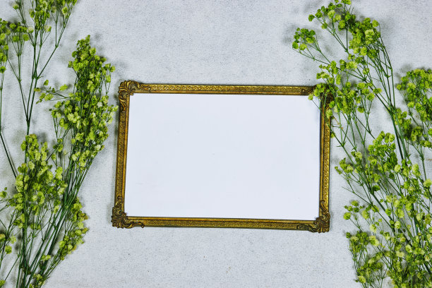 金色的图片或相框模型与绿色婴儿的呼吸，石膏在灰色的垃圾背景图片下载