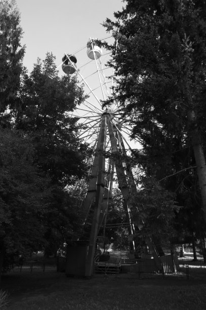 公园景观与大自然的剪影。黑白照片图片下载