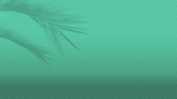 抽象的绿色石材纹理背景为产品展示。空荡荡的房间里有树叶的影子。用模糊背景展示产品图片下载