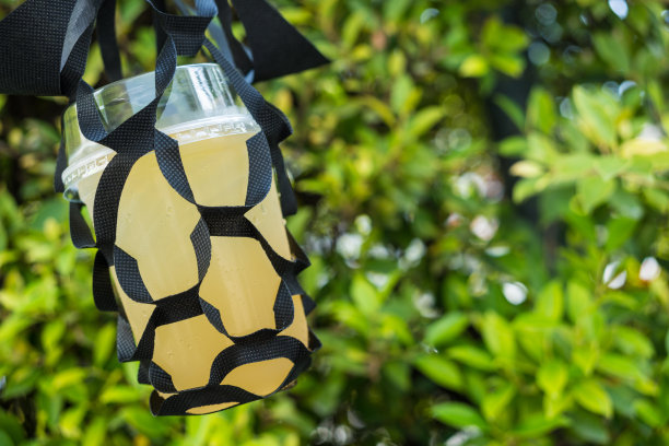 一杯冰蜂蜜柠檬杯，杯中有固定包装，便于带走图片下载