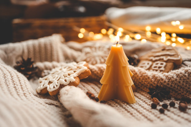 蜂蜡圣诞树蜡烛，温馨的照片图片下载