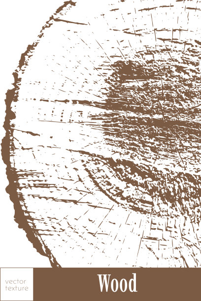 横截面上树木的年轮。图片下载