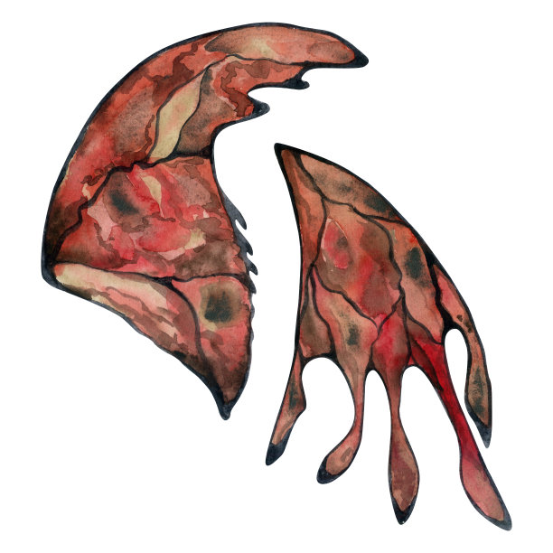 手绘水彩插画蝴蝶仙女翅膀宝石水晶虫蛾。石榴石红宝石、太阳石玛瑙、火蛋白石。一组物体孤立的白色背景。设计印刷，商店，婚礼，生日图片下载