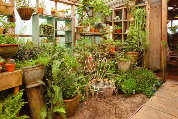 复古的温室花园，金属椅子，花盆图片下载