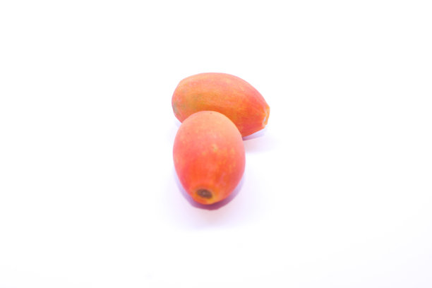 橙掌草。在白色背景上图片下载