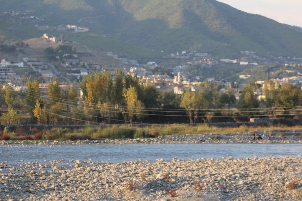 黄叶随树开花，黄叶在冬季图片下载