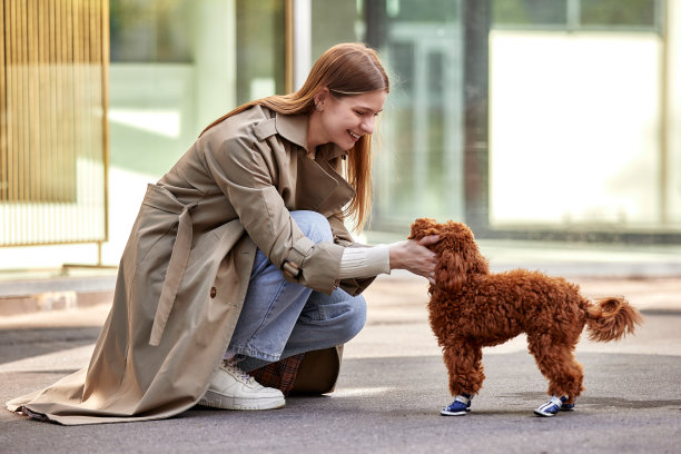 一个微笑的年轻女孩穿着时髦的米色雨衣，带着她的贵宾犬散步。女主人蹲在街中央和她的宠物交流。图片下载