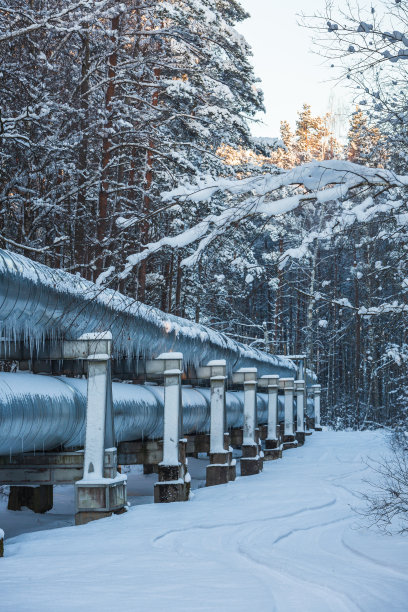 在寒冷的冬天，管道桥上的工业管道图片下载