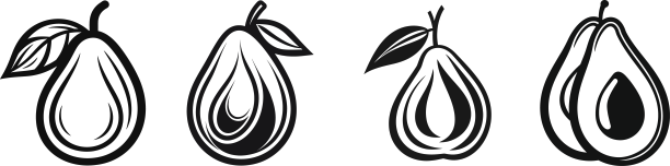 牛油果时尚图形图片下载