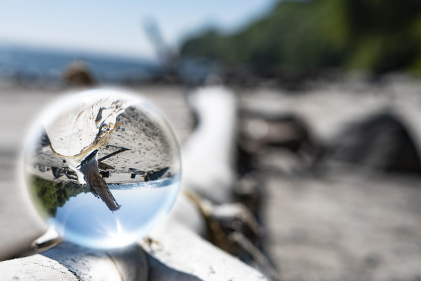 专注于照顾自然，用玻璃球展示，在球的内外反映自然。在斯堪的纳维亚的秋天，一间与大自然为伴的房间。图片下载