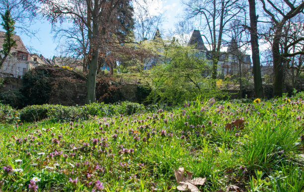 春天城堡附近的公园。图片下载
