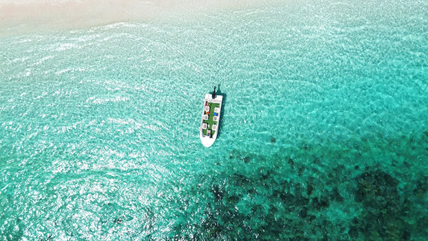 粉红海滩科莫多国家公园图片下载