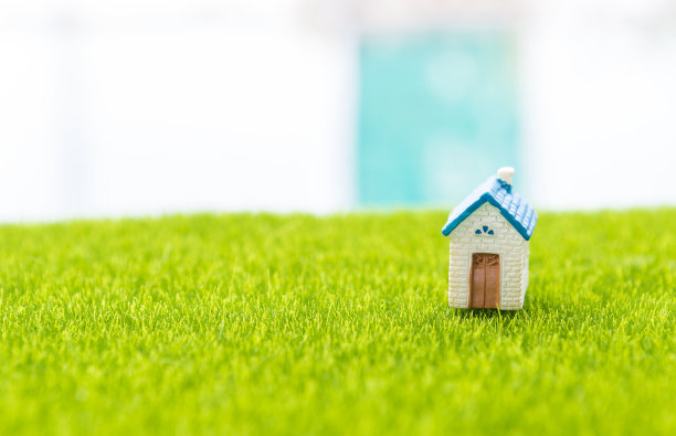 绿色田野上的微型房子，背景模糊图片下载