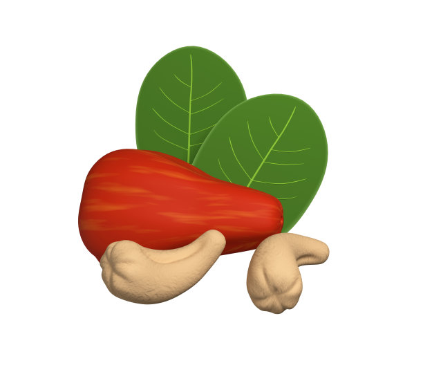 白色背景上孤立的绿叶腰果。三维渲染图片下载