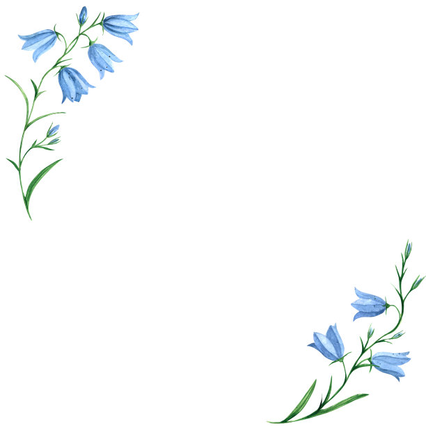 框架与风信子水彩插图。植物缘，草甸花。风铃草属植物中。花卉植物边界，保存日期，邀请，感谢卡。题词、照片模板图片下载