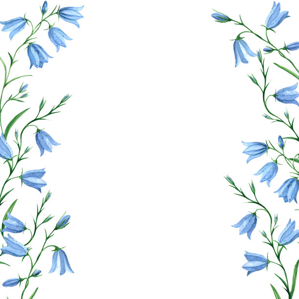 框架与风信子水彩插图。植物缘，草甸花。风铃草属植物中。花卉植物边界，保存日期，邀请，感谢卡。题词、照片模板图片下载