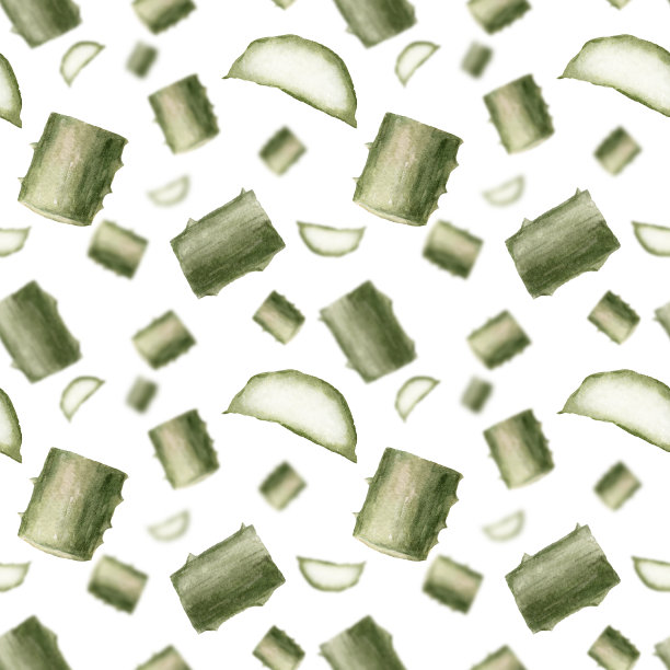 芦荟叶绿色花卉无缝三维模糊图案水彩，孤立在白色背景，手绘。切肉质植物。用于包装、包装纸图片下载