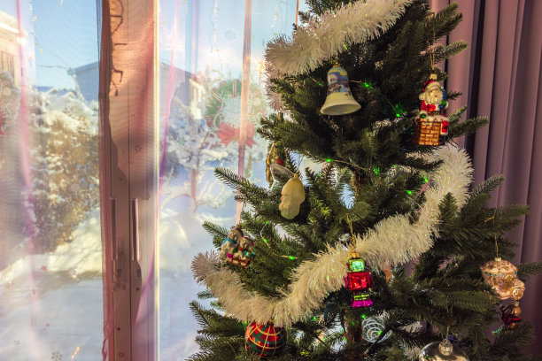 房间内装饰着圣诞树，透过全景窗户俯瞰白雪覆盖的私人别墅花园。瑞典。图片下载