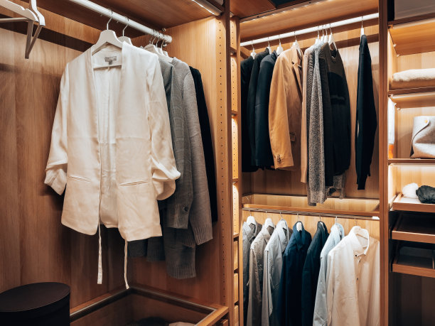 家里的现代衣橱图片下载