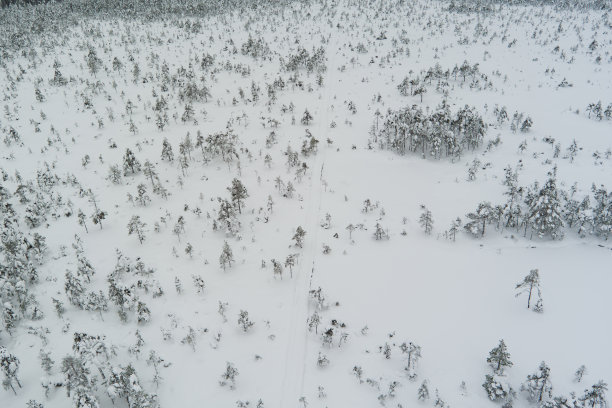 图片纹理，爱沙尼亚自然，雪域，无人机拍摄。图片下载