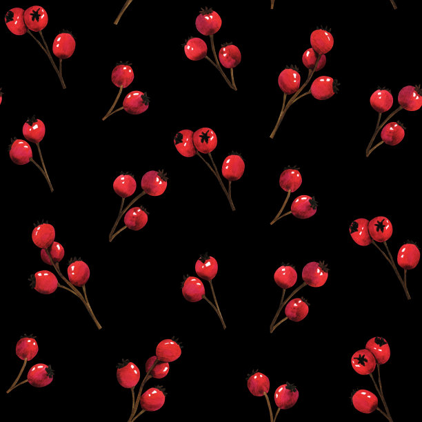 水彩无缝图案野生森林枝红莓，蔓越莓，蔓越莓，玫瑰果。自然森林草坪景观。野生景观生态自然插画。圣诞植物织物花饰图片下载