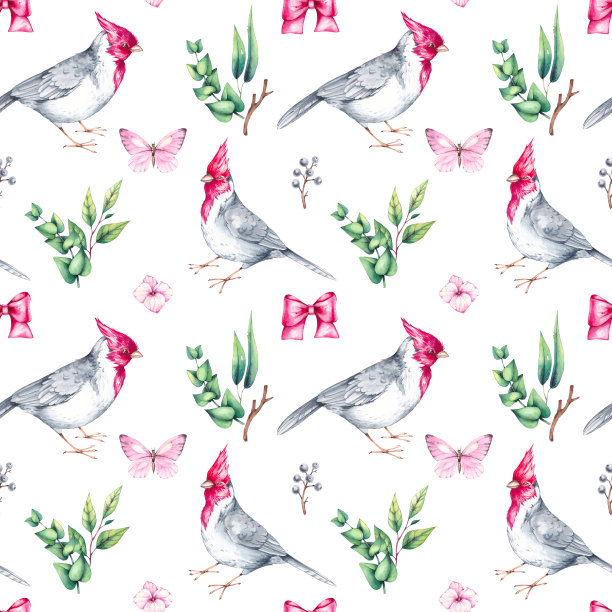 水彩画鸟红色红衣，花束图片下载