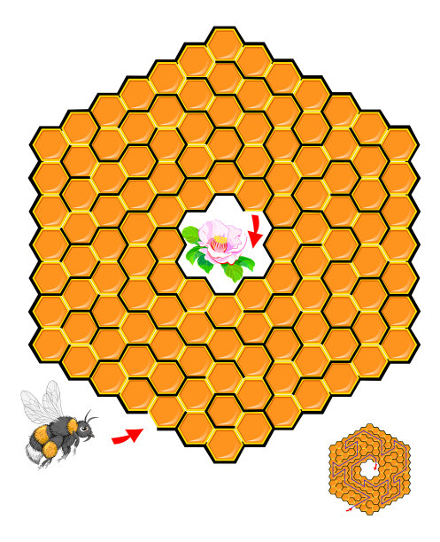 逻辑益智游戏与迷宫为儿童和成人。帮助大黄蜂在蜂巢里找到路直到开花并画出线。在线玩。儿童活动单。矢量卡通图像。图片下载