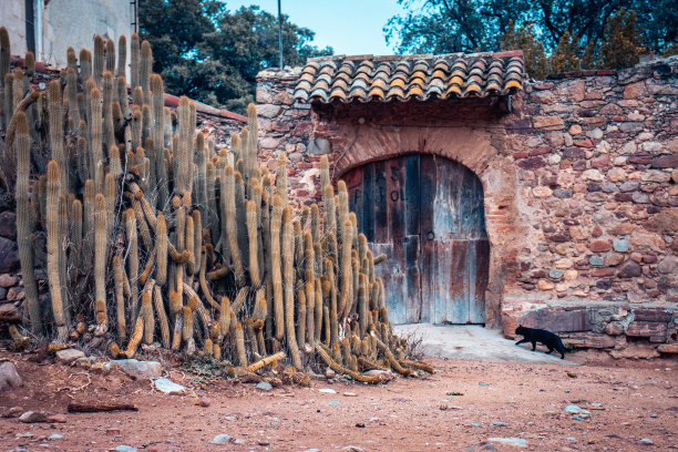 乡村废弃房屋的照片。白色农场在乡村，质朴的乡村家园，乡村景观。图片下载