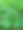 甘薯叶。自然背景。有选择性的重点。高质量照片图片下载