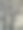 树枝。一个复古风格的背景图像。有色。图片下载