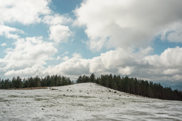 山峰雪景与松树的垂直照片。自然概念图片下载