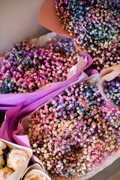 美丽的景色在花店的五颜六色的展示与大种类的吉思莲花。小型企业图片下载