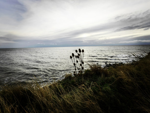 冬天波罗的海费尔马恩岛的自然风光照片图片下载