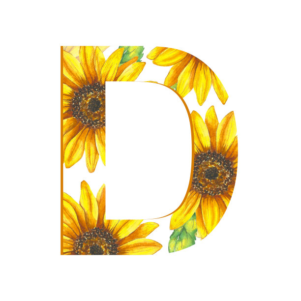 花卉字母套装-字母D.从向日葵图案上剪下的字母。图片下载