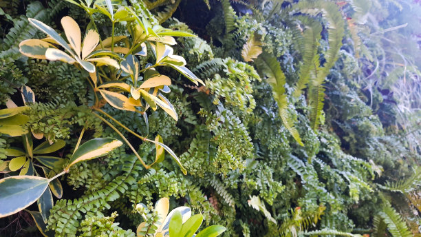 美化和绿化城市建筑图片下载