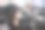 小狗坐在电脑椅上。办公室里的宠物。杰克罗素梗在桌子上图片下载