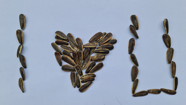 “我爱你”这几个字写在白色的背景上，是用葵花籽做成的。图片下载