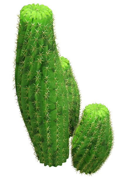 白色上的花生仙人掌3D渲染图片下载