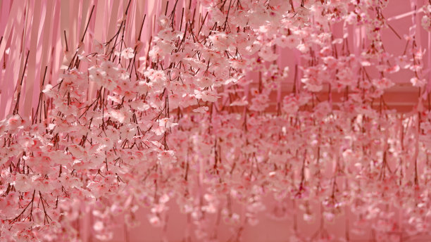 特写照片为背景材料的户外装饰与樱花图案图片下载