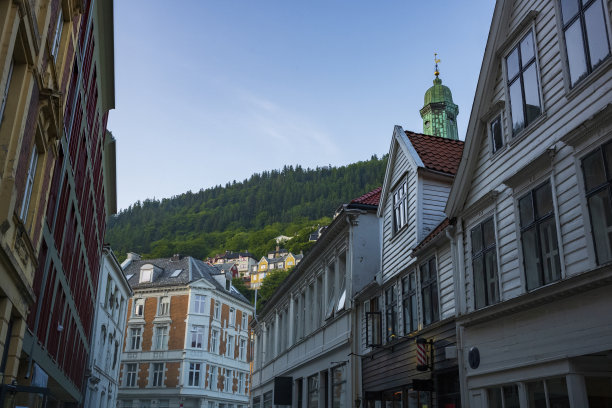 山坡上的房屋和企业组成了挪威的卑尔根市图片下载