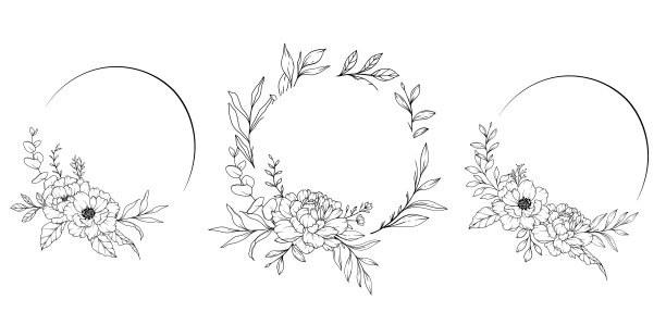 牡丹线描。黑白花框。花卉线条艺术。细线牡丹插画。手绘轮廓花。植物着色页。婚礼请柬花图片下载