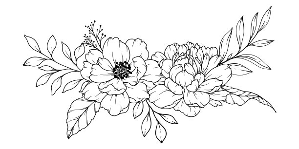 牡丹线描。黑白花束。花卉着色页。花卉线条艺术。细线牡丹插画。手绘花。植物色素。婚礼请柬花图片下载