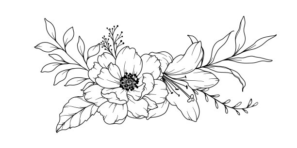 牡丹线描。黑白花束。花卉着色页。花卉线条艺术。细线牡丹插画。手绘花。植物色素。婚礼请柬花图片下载